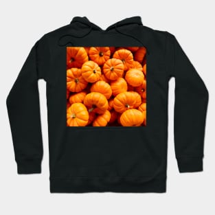 Orange fall harvest Halloween pumpkin pattern Hoodie
